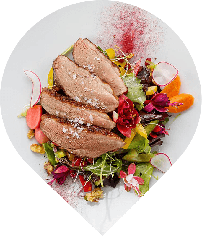 gastro
